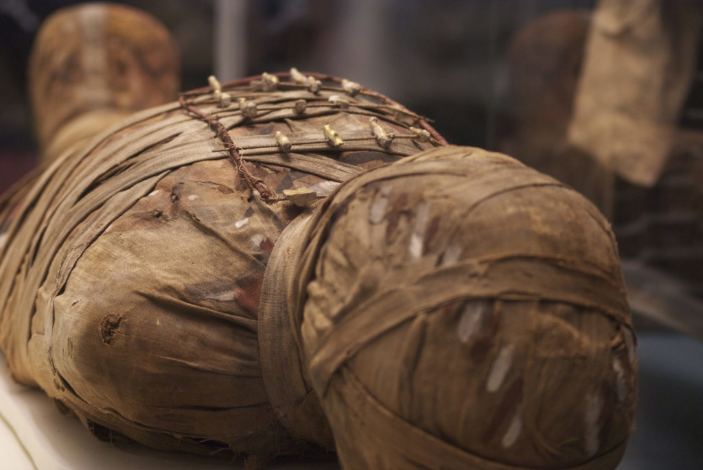 momia secretos museo britanico