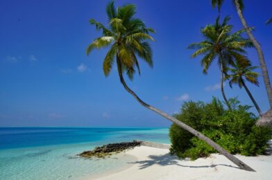 Las 7 playas paradisíacas que debes visitar